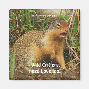 Schattigee Gopher Prairiehonden Wildlife Magnets Magneet