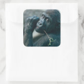 Schattigee Gorilla met helder oogcontact Vierkante Sticker (Tas)