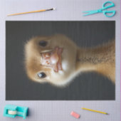 Schattigee Gosling Portrait Decoupage Tissuepapier (Craft)