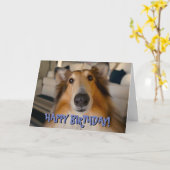 Schattigee grappige collie verjaardagskaart kaart (Gele Bloem)