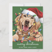 Schattigee Grappige Golden Retriever Santa Hat Feestdagenkaart (Voorkant)