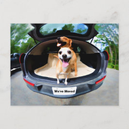Schattigee grappige honden gaan voor autorit verhu briefkaart