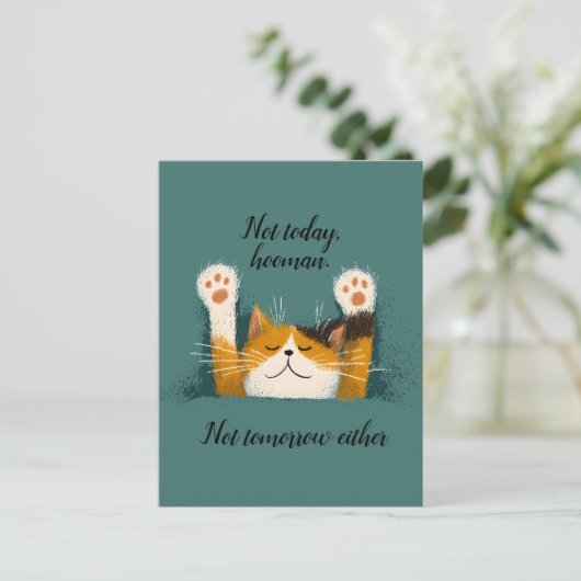 Schattigee grappige kat dutje feestdagenkaart (Staand voorkant)