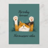 Schattigee grappige kat dutje feestdagenkaart (Voorkant)