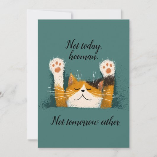 Schattigee grappige kat dutje feestdagenkaart (Voorkant)