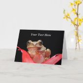 Schattigee, Grappige Kikker in Lily - Wenskaart Sj Kaart (Gele Bloem)