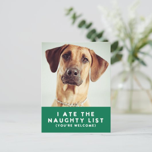 Schattigee Grappige Naughty List Pet Photo Christm Feestdagenkaart (Staand voorkant)