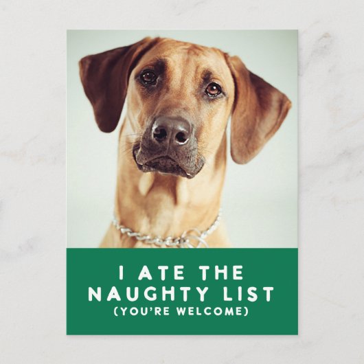 Schattigee Grappige Naughty List Pet Photo Christm Feestdagenkaart (Voorkant)