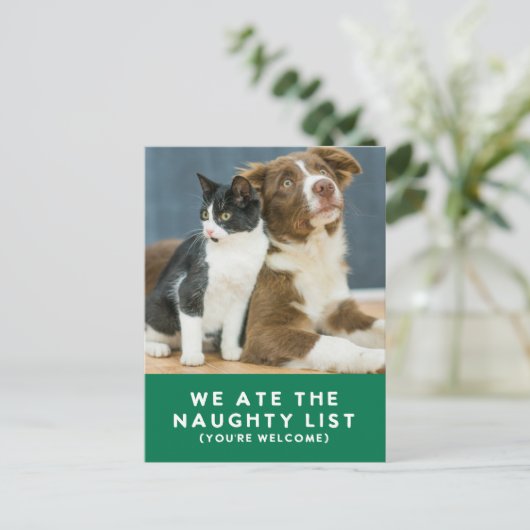 Schattigee Grappige Naughty List Pet Photo Christm Feestdagenkaart (Staand voorkant)