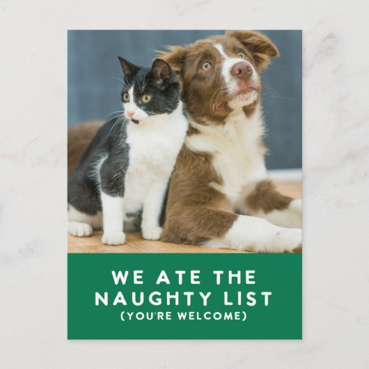 Schattigee Grappige Naughty List Pet Photo Christm Feestdagenkaart (Voorkant)