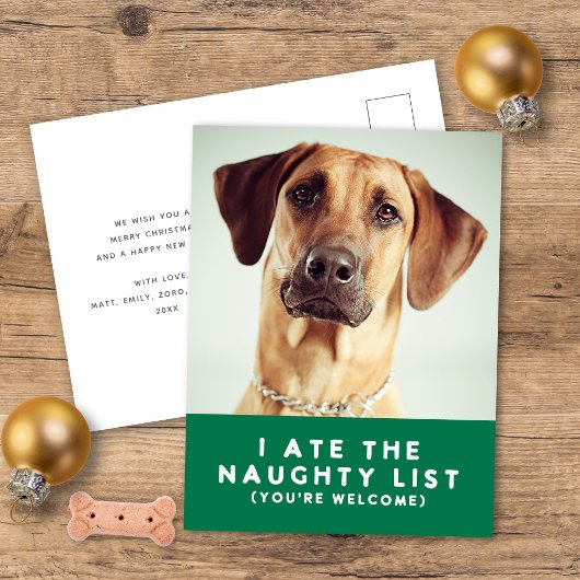 Schattigee Grappige Naughty List Pet Photo Christm Feestdagenkaart
