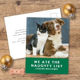 Schattigee Grappige Naughty List Pet Photo Christm Feestdagenkaart