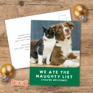 Schattigee Grappige Naughty List Pet Photo Christm Feestdagenkaart