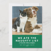 Schattigee Grappige Naughty List Pet Photo Christm Feestdagenkaart (Voorkant)