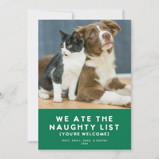 Schattigee Grappige Naughty List Pet Photo Christm Feestdagenkaart (Voorkant)