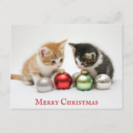 Schattigee grappige vrolijke kerst kitten kat briefkaart