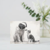 Schattigee grens Collie & Kitten vriendschap Briefkaart (Staand voorkant)