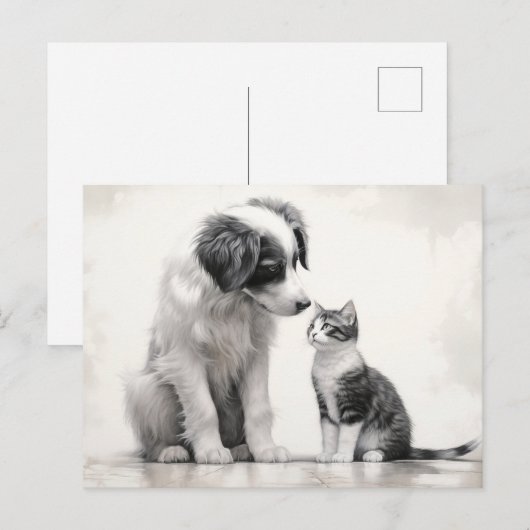 Schattigee grens Collie & Kitten vriendschap Briefkaart (Voorkant / Achterkant)