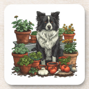 Schattigee Grens Collie Tuinieren Bier Onderzetter