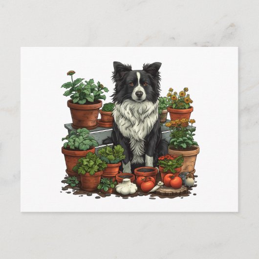 Schattigee Grens Collie Tuinieren Briefkaart (Voorkant)