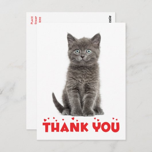 Schattigee Grey Kitten Bedankt Cat Briefkaart (Voorkant / Achterkant)