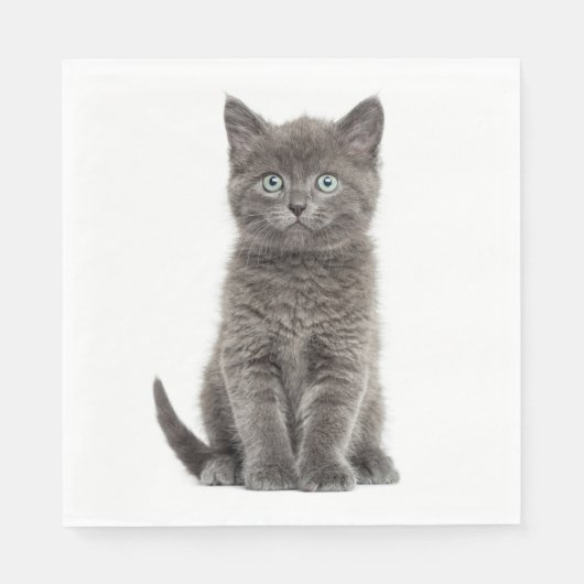 Schattigee Grey Kitten Grey Kitty Cat Party Servet (Voorkant)