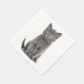 Schattigee Grey Kitten Grey Kitty Cat Party Servet (Hoek)
