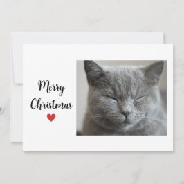 Schattigee Grey Sleepy Cat Christmas Holiday Love Feestdagenkaart
