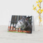 Schattigee Greyhound wenskaart Kaart (Gele Bloem)