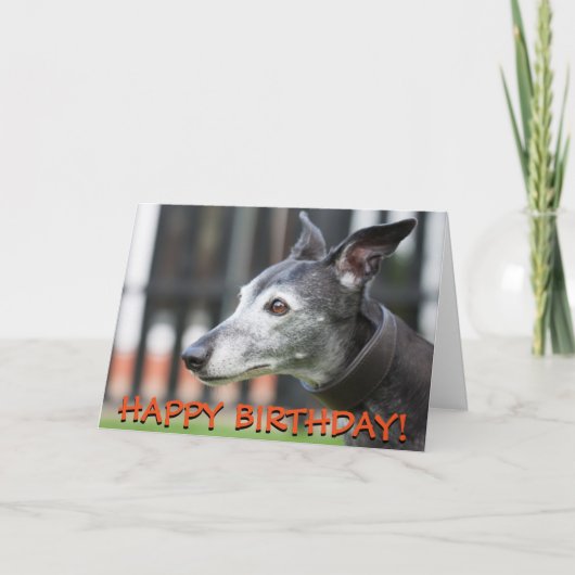 Schattigee Greyhound wenskaart Kaart (Voorkant)