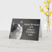 Schattigee grijs-witte kattenverjaardagskaart kaart (Gele Bloem)