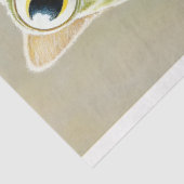 Schattigee grillige kitten verkleed als een kikker tissuepapier (Detail)