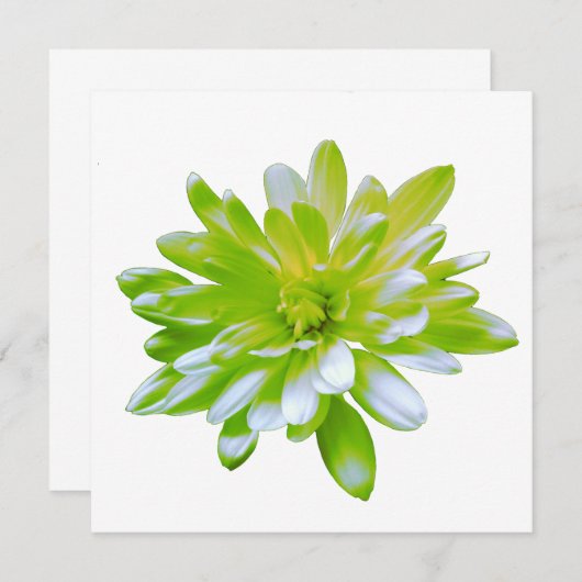 Schattigee groene bloemen groene bloem groene made kaart (Voorkant / Achterkant)