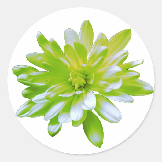 Schattigee groene bloemen groene bloem groene made ronde sticker (Voorkant)