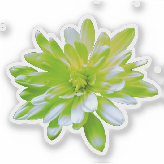 Schattigee groene bloemen groene bloem groene made sticker (Voorkant)
