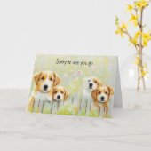 Schattigee groep honden pensioen nieuwe baan Kaart (Gele Bloem)