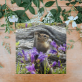 Schattigee grondeekhoorn en Paarse wilde bloemen Tegeltje