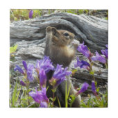 Schattigee grondeekhoorn en Paarse wilde bloemen Tegeltje (Voorkant)