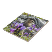 Schattigee grondeekhoorn en Paarse wilde bloemen Tegeltje (Zijkant)