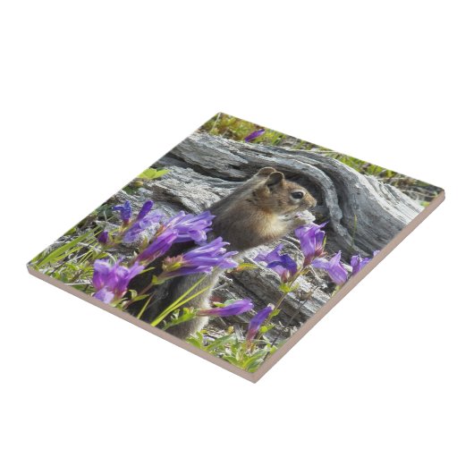 Schattigee grondeekhoorn en Paarse wilde bloemen Tegeltje (Zijkant)