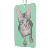 Schattigee grootoogkat luchtverfrisser (Links)