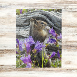 Schattigee Ground Eekhoorn en Wildflower Natuur Legpuzzel