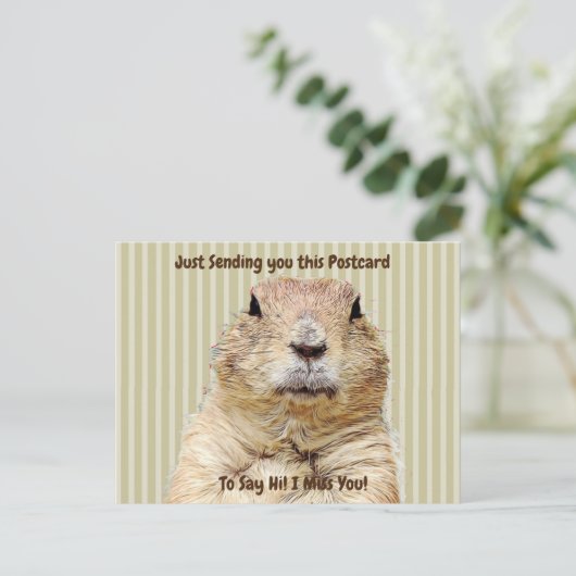 Schattigee Groundhog "I Miss YOU" Gezegde Hi Briefkaart (Staand voorkant)