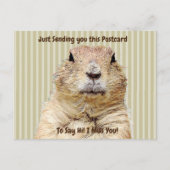 Schattigee Groundhog "I Miss YOU" Gezegde Hi Briefkaart (Voorkant)