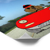 Schattigee Groundhog in Convertible Poster (Hoek)