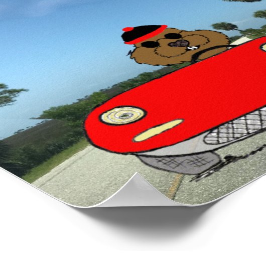 Schattigee Groundhog in Convertible Poster (Hoek)