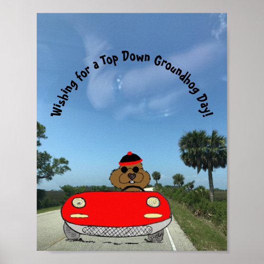 Schattigee Groundhog in Convertible Poster (Voorkant)