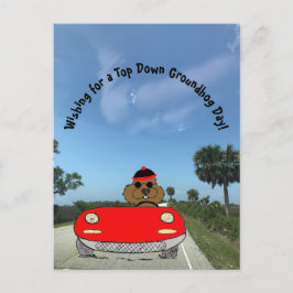 Schattigee Groundhog in Red Convertible Feestdagenkaart