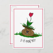 Schattigee Groundhog Op zoek naar de lente Feestdagenkaart (Voorkant / Achterkant)