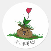 Schattigee Groundhog Op zoek naar de lente Ronde Sticker (Voorkant)